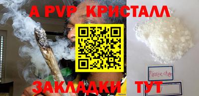 спиды Аргун