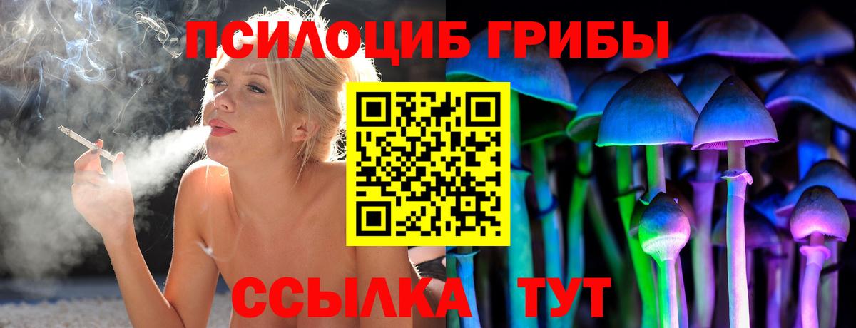 Воткинск  Галлюциногенные грибы Psilocybine cubensis  Вход с VPN 